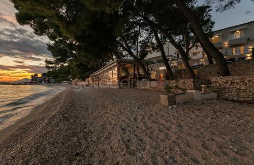 Donja luka Cama Y Desayuno | Beachfront Deluxe B&B