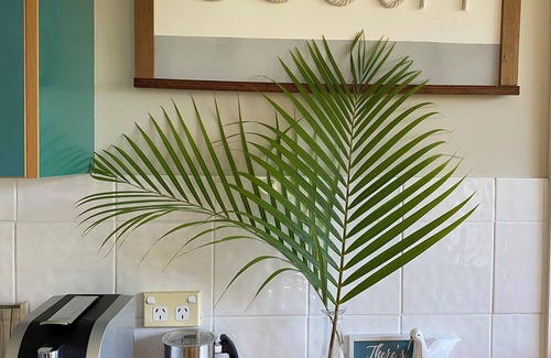 Wamberal Apartamento | Beachside cabin + solar heated pool @ Spoon Bay