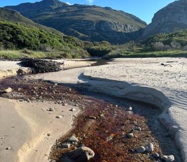 Betty's Bay Casa | Beachside cottage with breathtaking views