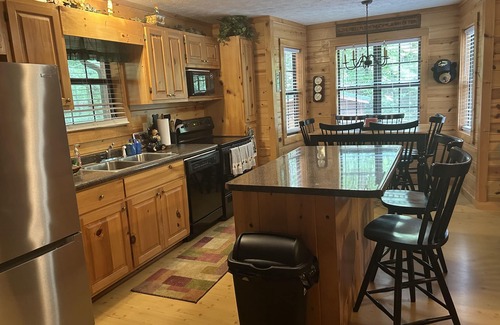 Blairsville Cabina | Bear-A-Dise- A beautiful mountain cabin-sleeps 12, hot tub, game room & firepit.