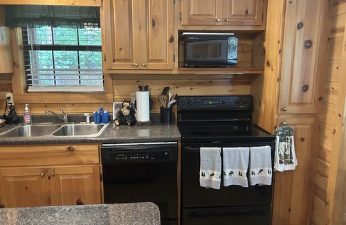 Blairsville Cabina | Bear-A-Dise- A beautiful mountain cabin-sleeps 12, hot tub, game room & firepit.