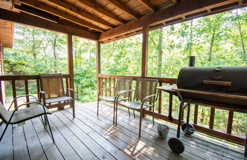 Board Camp Cabina | Bear Den|18Acres|Private Creek|Swim|Hiking|ATV Trails|Mtn Cabin