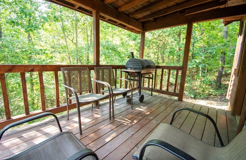 Board Camp Cabina | Bear Den|18Acres|Private Creek|Swim|Hiking|ATV Trails|Mtn Cabin