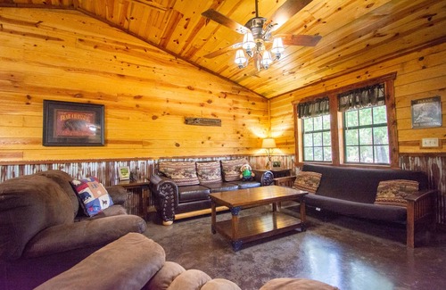 Board Camp Cabina | Bear Den|18Acres|Private Creek|Swim|Hiking|ATV Trails|Mtn Cabin