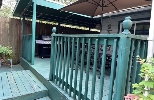 Salt Springs Casa | Beary Comfortable Cottage in Salt Springs