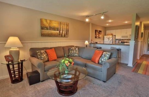 Harbor Springs Condominio | Condominio 68 - Condominios Trout Creek