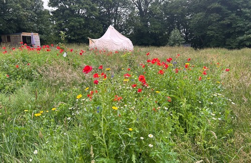 Cowbridge Cabina | Beautiful Bell Tent Stay
