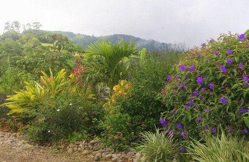 San Ramón Apartamento | Hermosa Bella Vivace con Rolling Mountain y Bahía de Nicoya Vistas