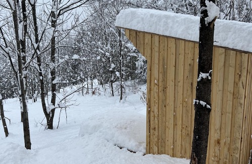 Warkworth Cabina | Beautiful Bunkie on 5 acres