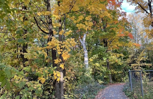 Laval Cabaña | Beautiful cottage near river close to montreal