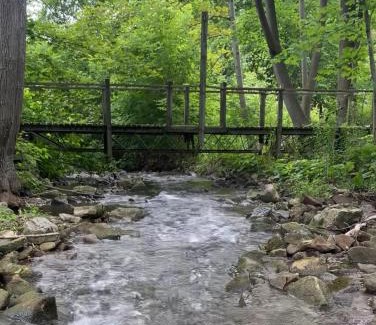 Hamilton Chalet De Esquí | Beautiful cottage stay!