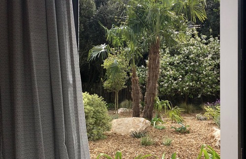 Saint-Pierre-d'Oleron Casa | Hermosa casa: piscina, jardín arbolado, paseo por la playa.