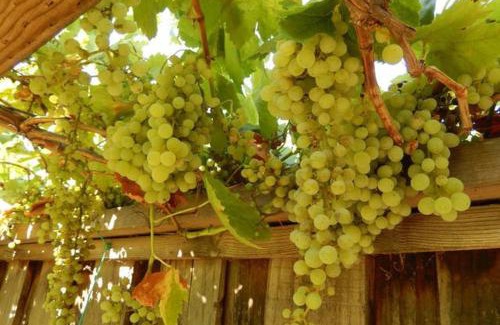 Silver Creek Casa | Beautiful Home in Quiet Area