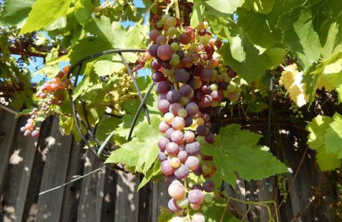 Silver Creek Casa | Beautiful Home in Quiet Area