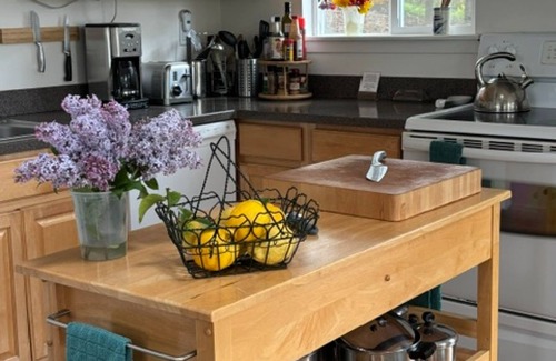 Occidental Casa | Beautiful home w/sweeping estuary, water views, Wifi, private grill & wood stove