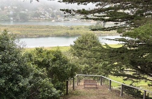 Occidental Casa | Beautiful home w/sweeping estuary, water views, Wifi, private grill & wood stove