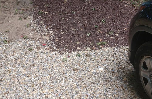 Michiana Casa | Hermosa casa de playa en el lago Michigan, cerca de la playa, a solo 1 hora y 15 minutos de Chicago