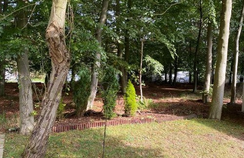 Swarland Casa | Beautiful Leaf Lane Lodge - 17 Leaf Lane