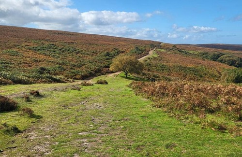 Fiddington Apartamento | Beautiful One Bed Studio Flat - Dog Friendly