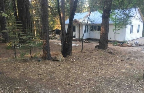 Alta Cabina | Beautiful, Peaceful Family and Pet Friendly Cabin in Woods. Sleeps 10.