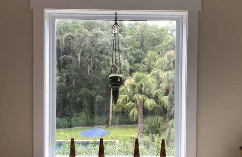 Nichols Casa | Hermosa piscina / jacuzzi en casa entre Disney y Busch Gardens.