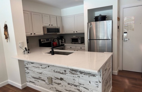 Lakeside Village Condominio | Beautiful Renovated 1br Lakeside Condo 1 Bedroom Condo