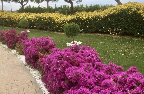 Roda Apartamento | Beautiful three bedroomed apartment in Roda Golf