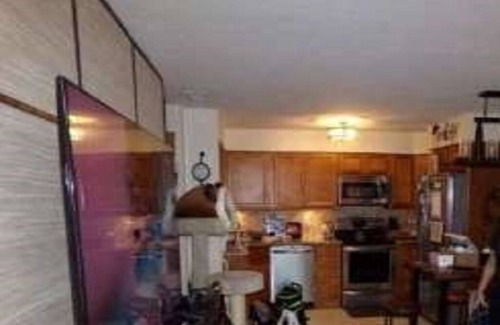 Holiday Condominio | Beautiful updated Condo on the Lake