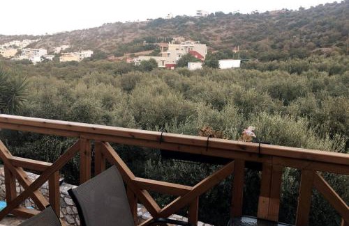 Stalida Casa | Beautiful Villa with a private pool !