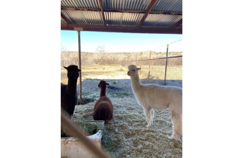 Rimrock Apartamento | Beaver Creek Oasis Travel Trailer