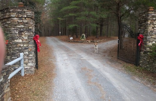 Rockmart Apartamento | Becks Lake Studio Fire Pit 3/4 mile to Silver Comet Trail near wedding venues
