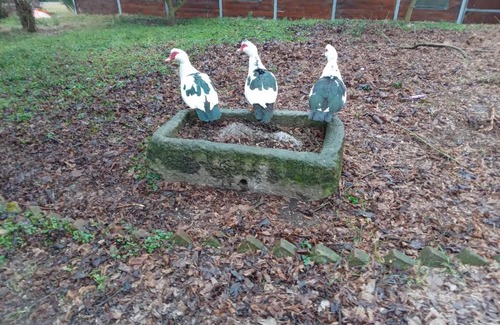 Casalborgone Cama Y Desayuno | Bed and Breakfast di Nonna Piera