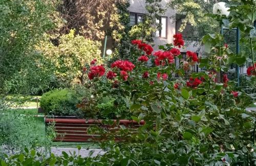 Nunoa Apartamento | Bed and Breakfast La Reina Oriente