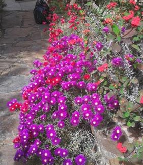 Province of Cagliari Cama Y Desayuno | Bed and Breakfast Su Niu