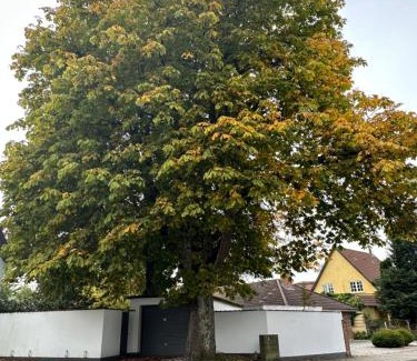 Silkeborg Cama Y Desayuno | Bed and Breakfast The Old Chestnut Tree Silkeborg