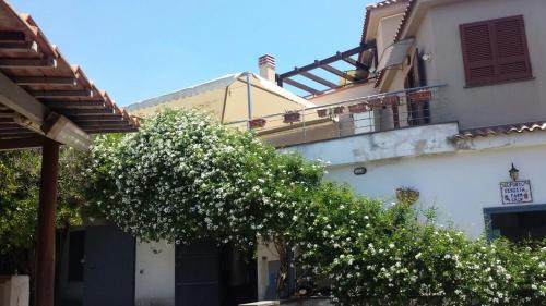 Ercolano Cama Y Desayuno | Bed & Breakfast Fuocomuorto