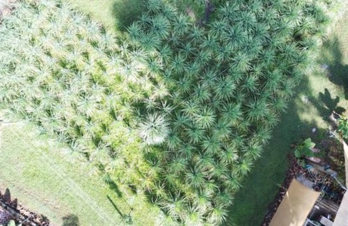 Luray Casa | Casa de la granja de Beebop Farm ™