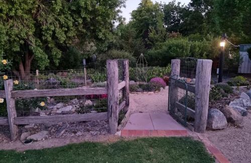 Tenterfield Casa | Behind the hedge