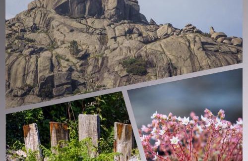 Vila Real Casa | Beirais do Alvão