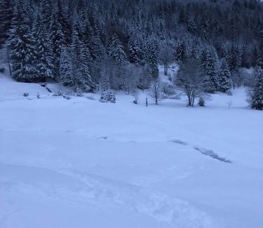 La Bresse Apartamento | Bel appartement neuf équipé au pied des pistes du HONHECK