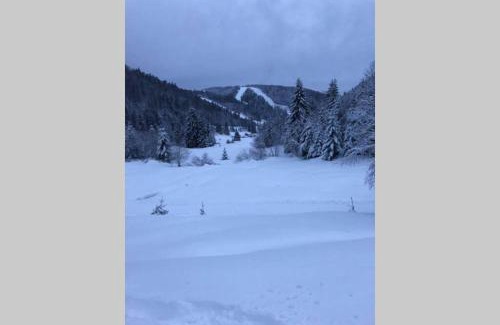 La Bresse Apartamento | Bel appartement neuf équipé au pied des pistes du HONHECK