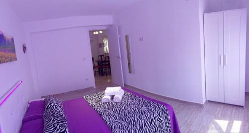 Montolivet Apartamento | Bella Vista