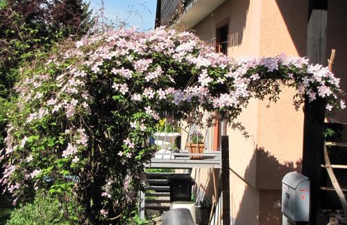 Igersheim Apartamento | BellaIris