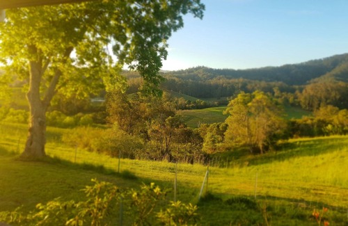 Missabotti Casa | Bellbowra Farmstay - Pet Friendly - Nambucca Valley