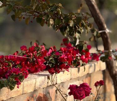 Himare Apartamento | Belvedere Hotel & Suites