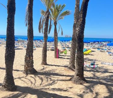 Benidorm Apartamento | BENILOVE en PLAYA