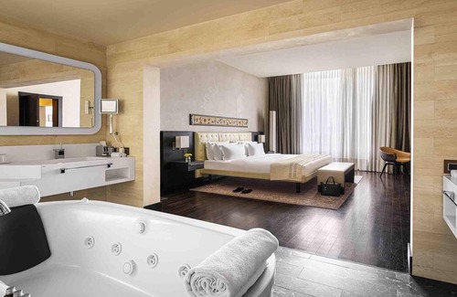 Chisinau Hotel | BERDS Hotel Chisinau - MGallery Collection