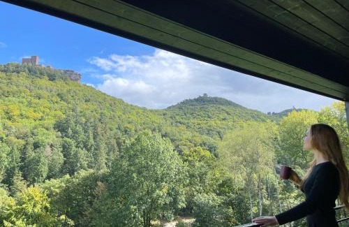 Annweiler am Trifels Casa | Bergchalet auf Stelzen