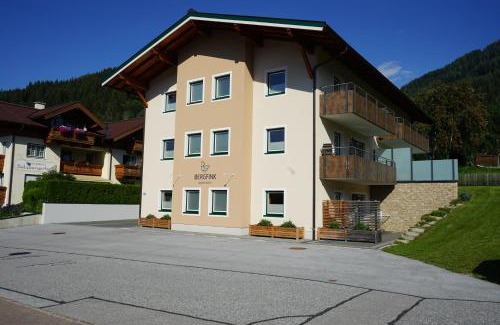 Flachau Apartamento | Bergfink apartments