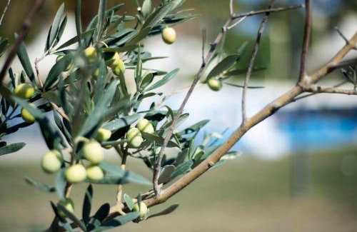 Bergama Hotel | Berksoy Hotel